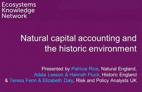 Natural Capital Accounting And The Historic Environment - Ecosystems ...